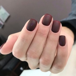 Маникюр и педикюр